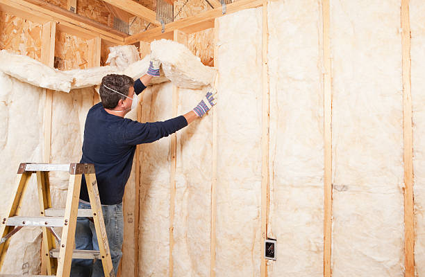 Best Spray Foam Insulation  in Wharton, TX