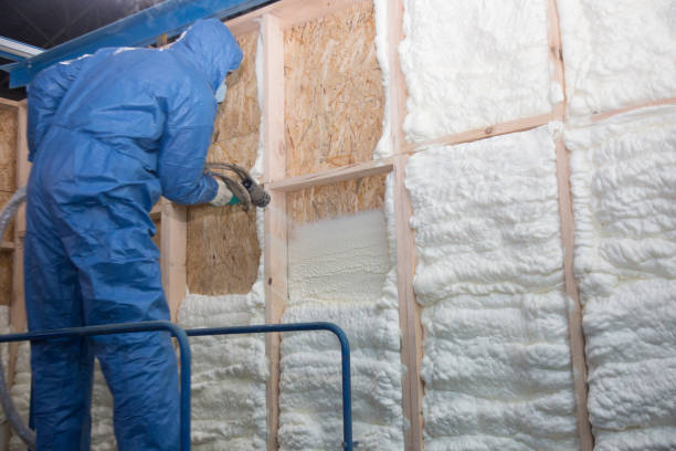 Best Insulation Air Sealing  in Wharton, TX